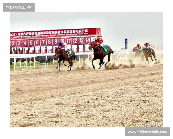 新锐骏马赛场竞逐 新锐骏马赛场竞逐